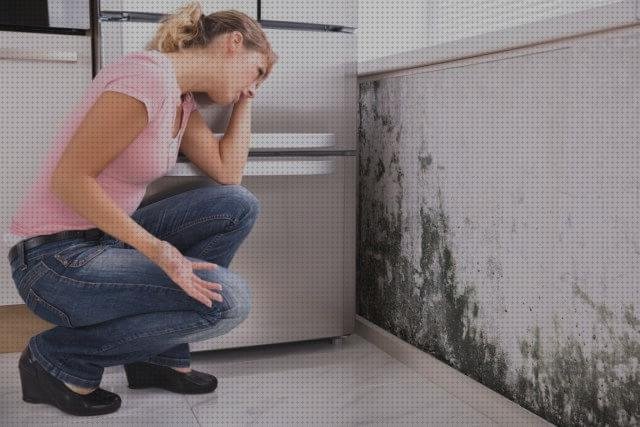 ¿Dónde poder comprar plancha aislante alisador aislante termico en planchas de chapa?