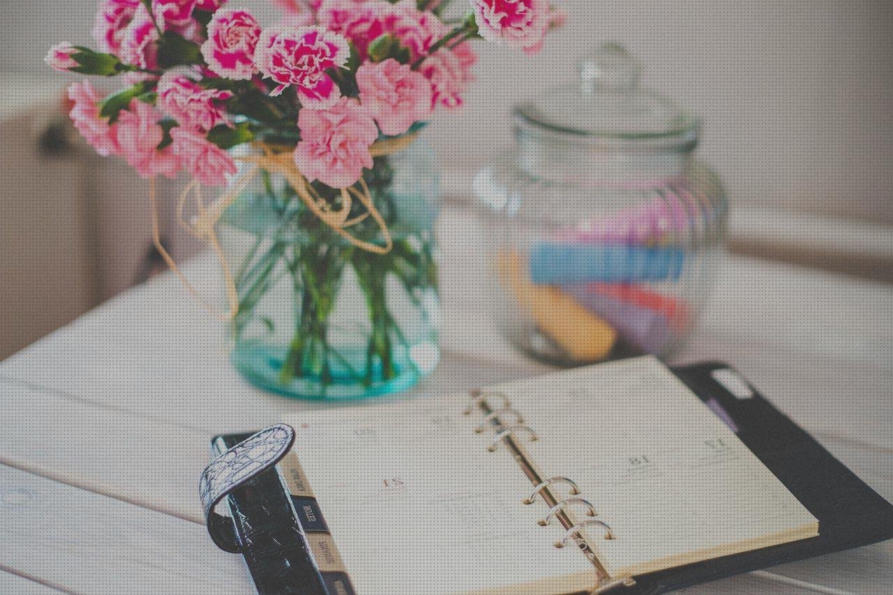 Review de esceficiente las 10 planchas diarias