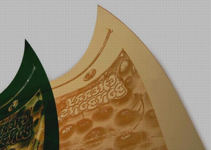 Las mejores Más sobre plancha bieffe baby vapor Más sobre plancha de vapor argan Más sobre plancha ariete 2400 fotopolimero plancha
