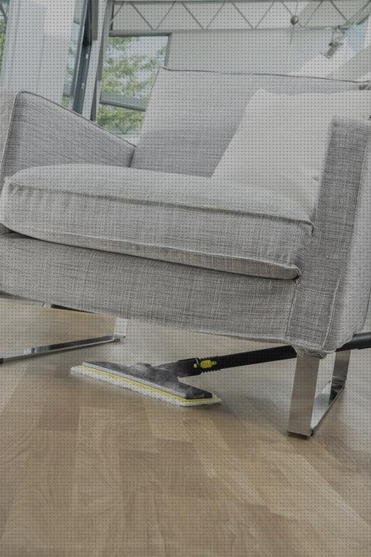 Análisis de los 20 mejores Karcher Sc4 Ksit Planchas