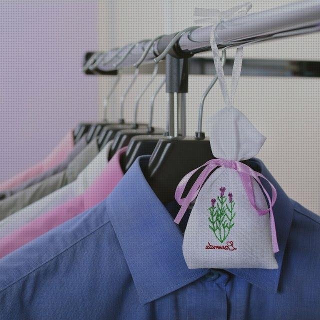 Las mejores marcas de Más sobre plancha de ropa de colores Más sobre sistemas de plancha con vapor Más sobre limahoya plancha de acero plancha de ropa 5 vare