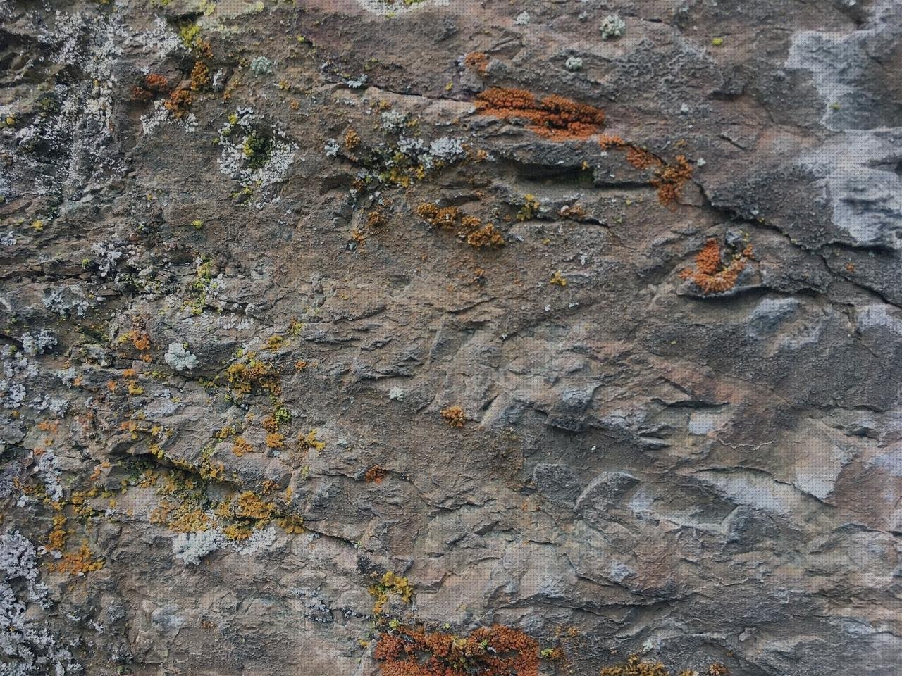 Las mejores Más sobre plancha base ceramica Más sobre planchas termics Más sobre electrodomesticos planchas plancha gris piedra