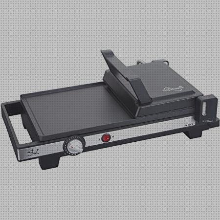 Las 29 Mejores planchas jata gr 269
