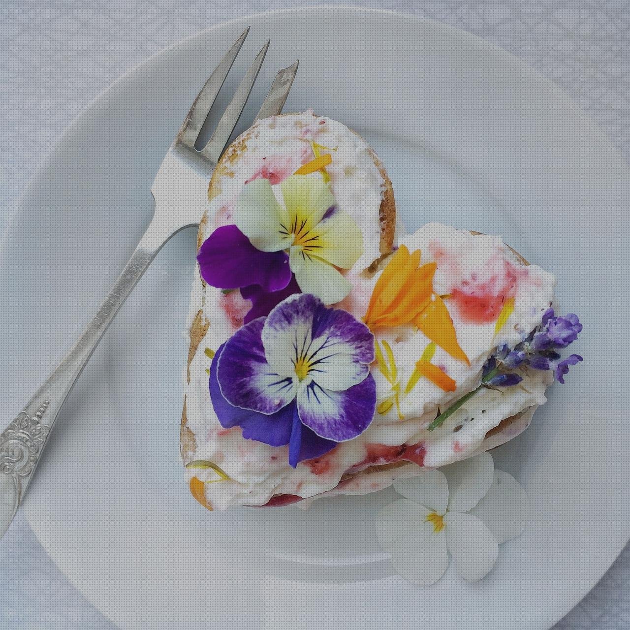 ¿Dónde poder comprar Más sobre plancha unicel Más sobre plancha bieffe baby vapor Más sobre plancha de vapor argan plancha panqueques?