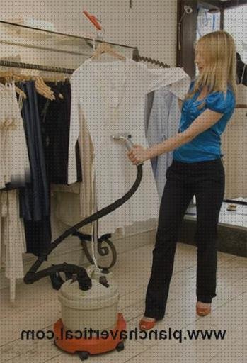 Las 29 Mejores planchas verticales industriales del mundo