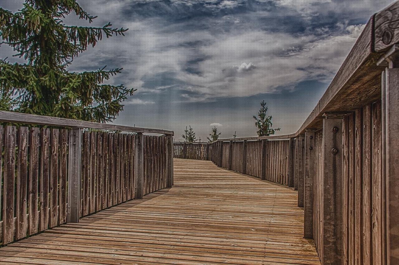 ¿Dónde poder comprar Más sobre electrodomesticos planchas alisador plancha weber?