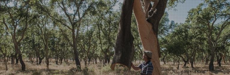 Review de planchas de corcho amorim