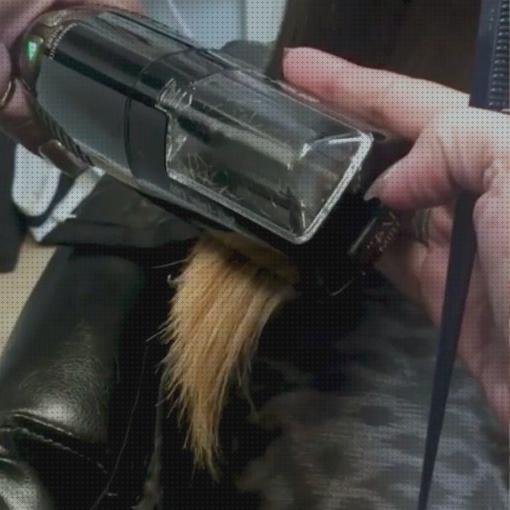 Las mejores marcas de plancha que corta las puntas abiertas Más sobre plancha de pelo ceramica 35w ceramica Más sobre plancha de vapor texstyle 5 ts545s planchas de pelo que corta las puntas
