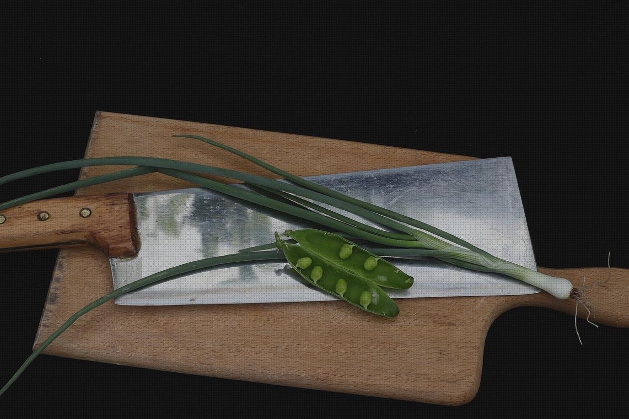 Las mejores 27 Verduras En Las Planchas Jata