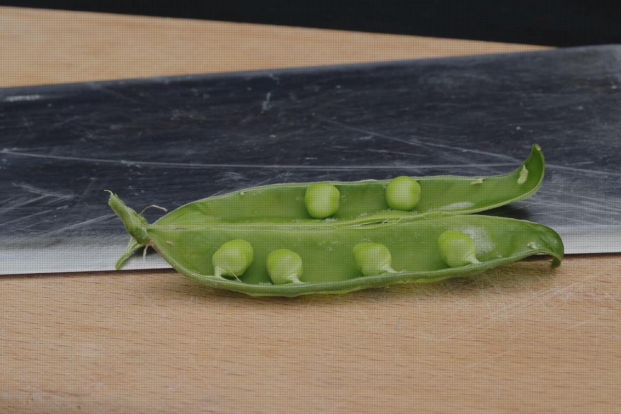 Las mejores marcas de verdura plancha Más sobre plancha ariete 2400 verduras plancha electrica